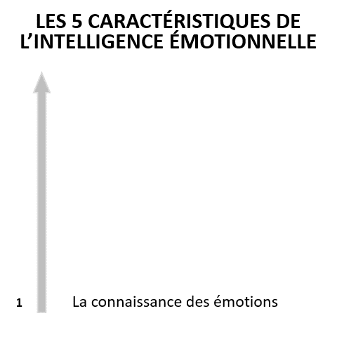 intelligence-emotionnelle-ebconsult