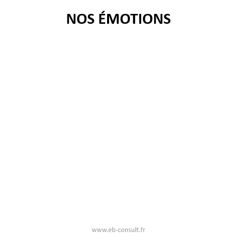 4-emotions-ebconsult