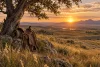 Une selle vide repose près d’un arbre face à une vaste prairie au lever du soleil.