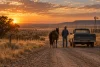Un cowboy anonyme de dos accompagne son cheval près d’un pick-up sur une piste.