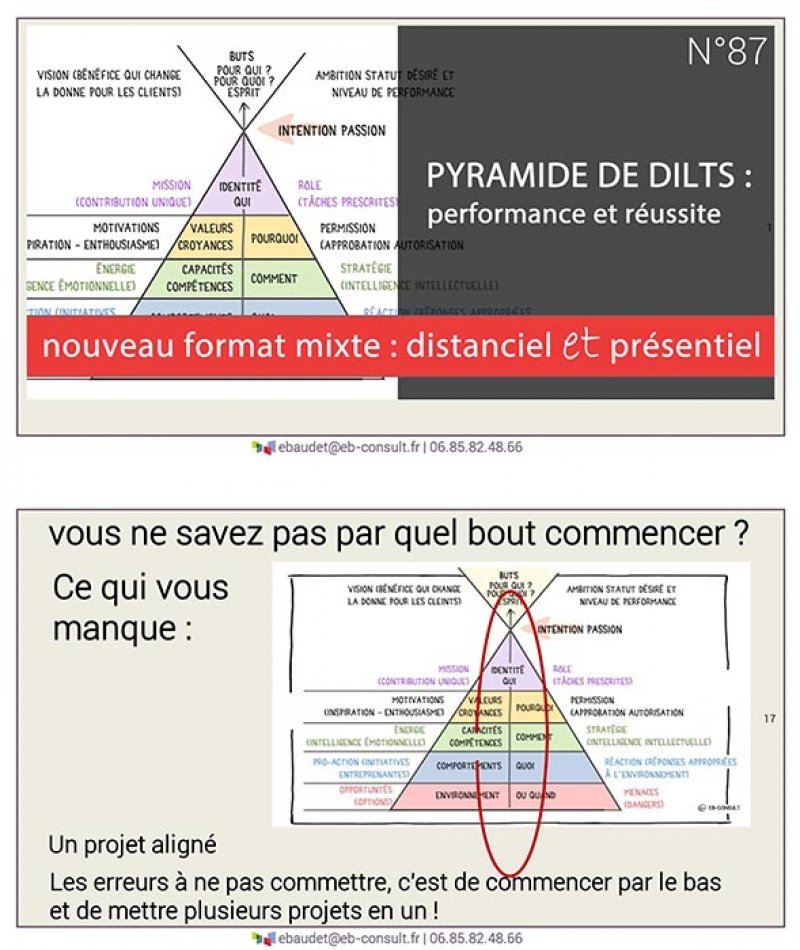 N° 87 – Pyramide de DILTS, performance et réussite