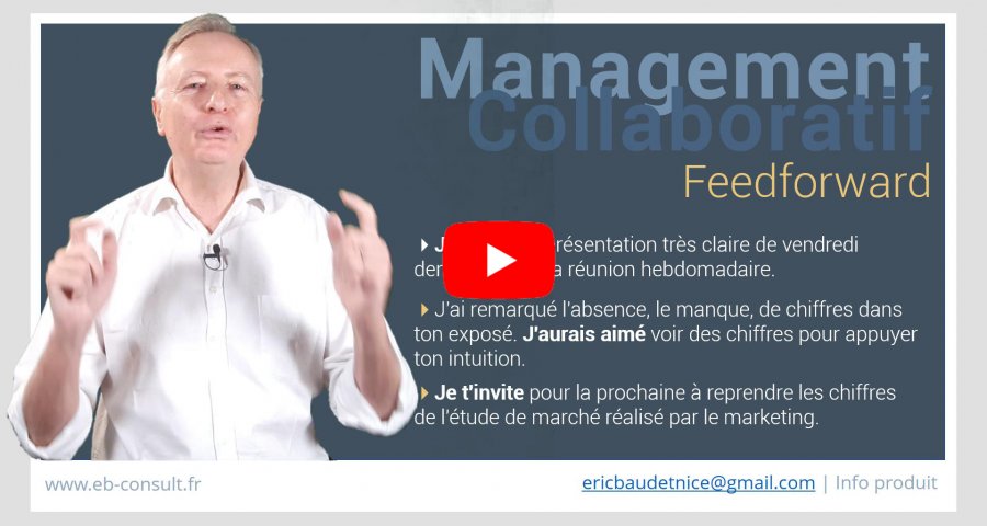 formation en management collaboratif présentiel et à distancee b