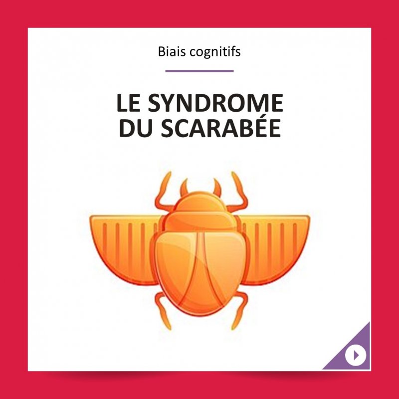 le-syndrome-du-scarabee-ebconsult