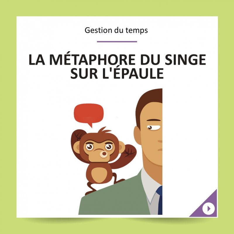 metaphore-du-singe-ebconsult