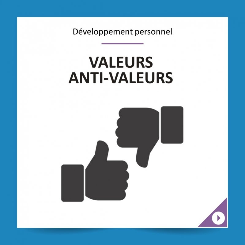valeurs-antivaleurs-ebconsult