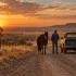 Elsa Dutton Mort : La fin de 1883 (Netflix) 🏹 et Yellowstone